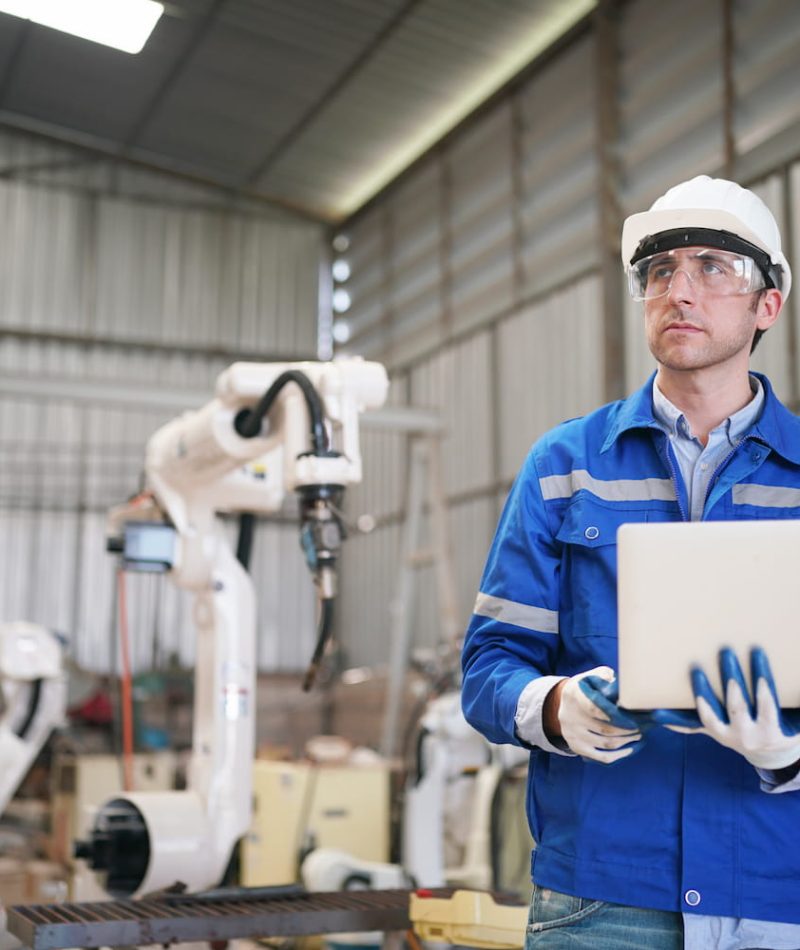 ensacado y paletizado